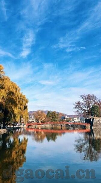 麻豆传媒下载安装-如何安全、合法地安装使用Mardo（麻豆传媒）应用程序